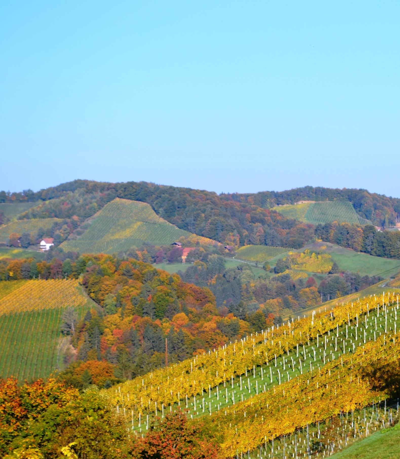 Aussichtslage vom Balkon Ferienhaus Gamlitz Suedsteiermark