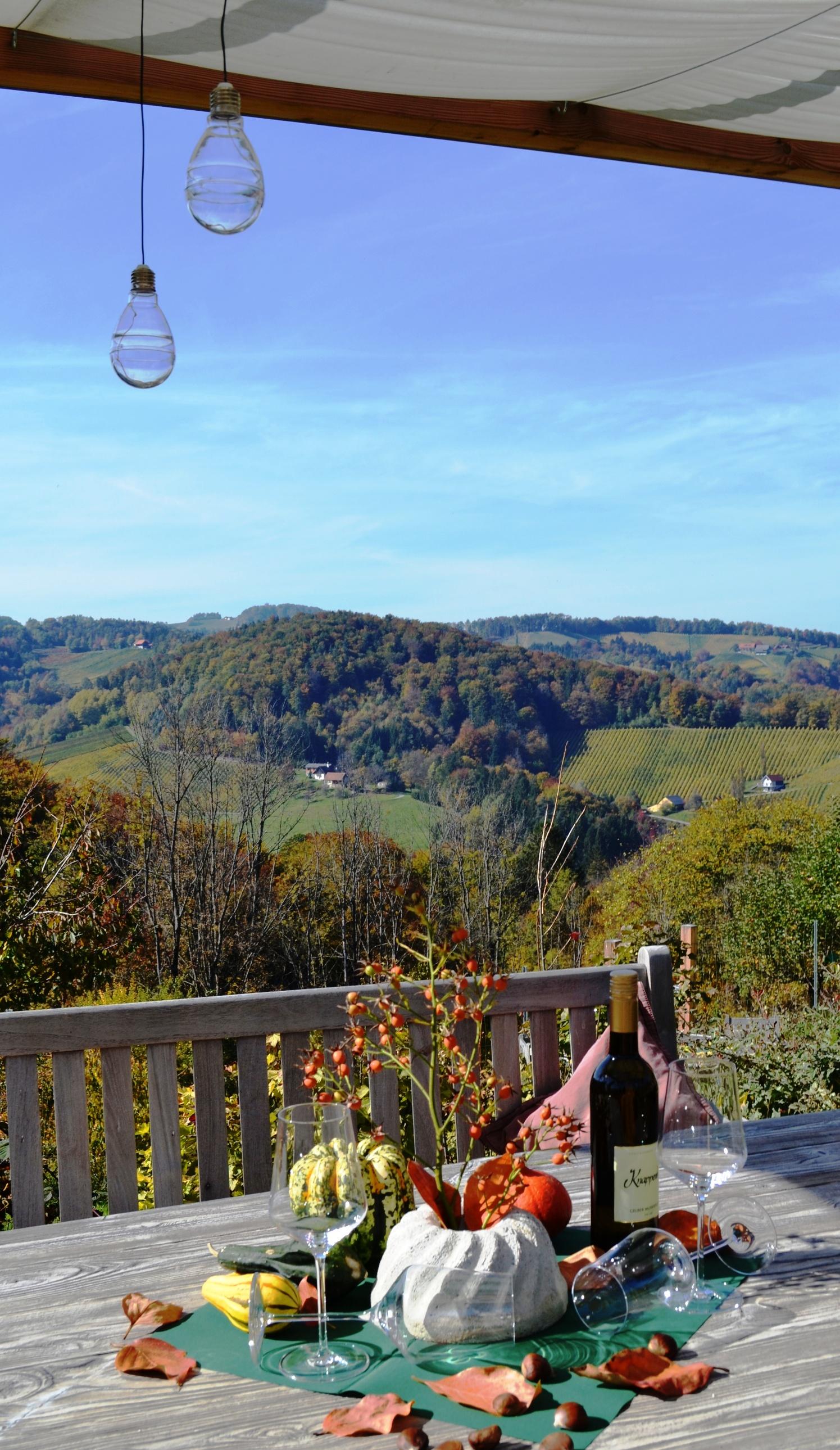 Aussicht Garten Ferienhaus Gamlitz Südsteiermark