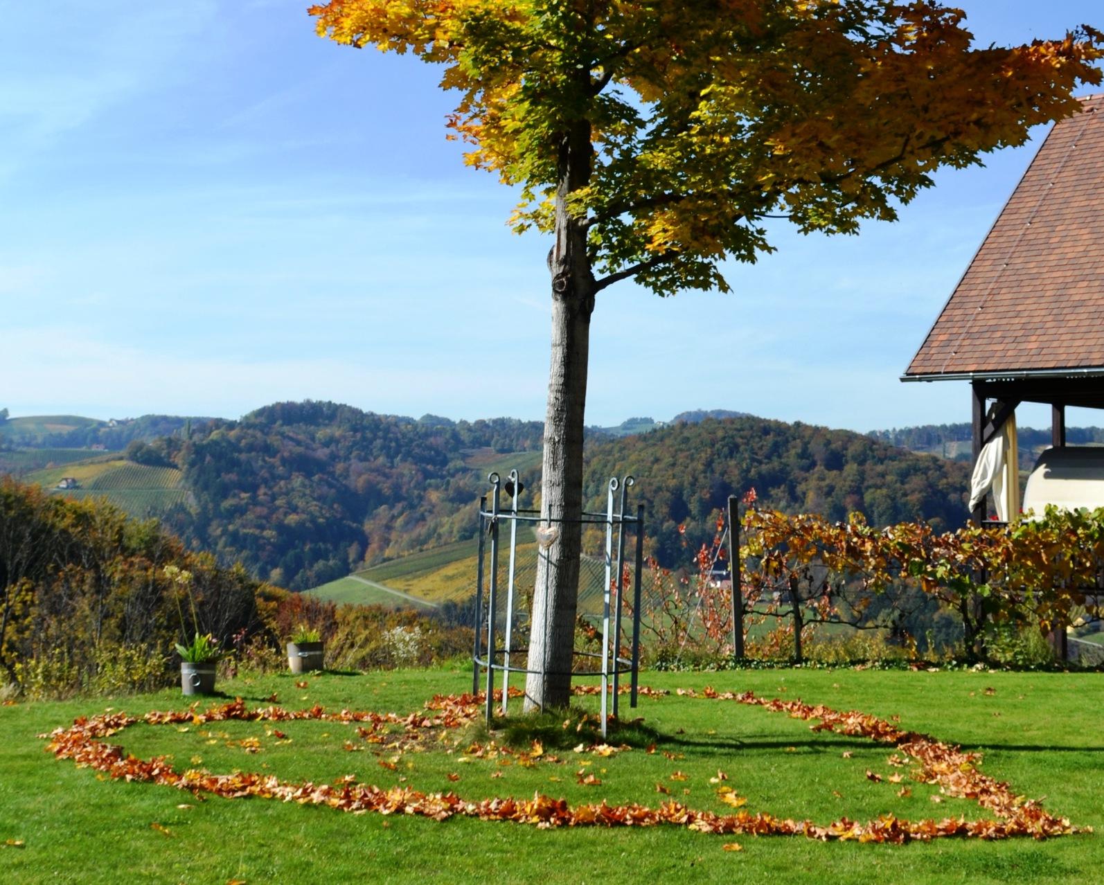 Herrliche Aussicht in die herbstlichen Weinberge der Südsteiermark