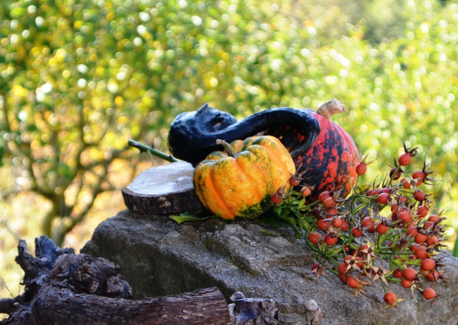 Herbst in der Südsteiermark