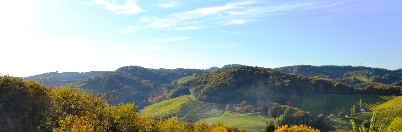 Panoramablick in die steirischen Weingärten